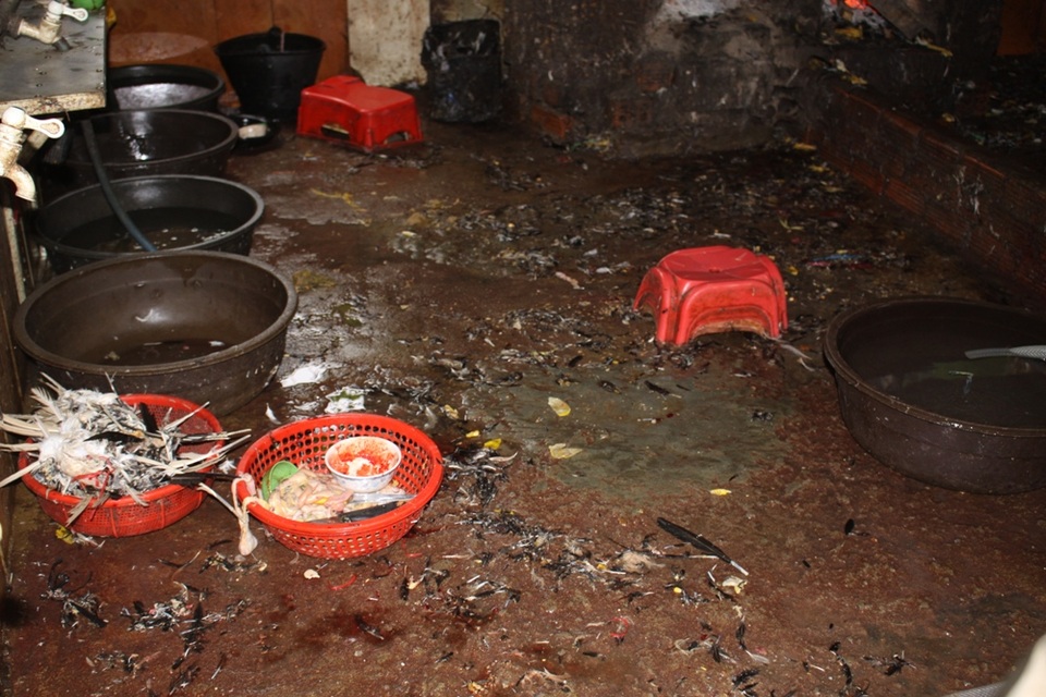 Nước thải, chất thải từ hoạt động giết mổ vương vãi khắp nơi.