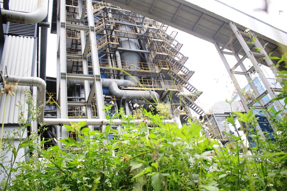 Đắp chiếu, nhà máy ethanol Dung Quất vẫn tiêu tốn hàng chục tỷ đồng mỗi năm - 2 Cỏ dại mọc um tùm bên cạnh những phân xưởng sản xuất hiện đại