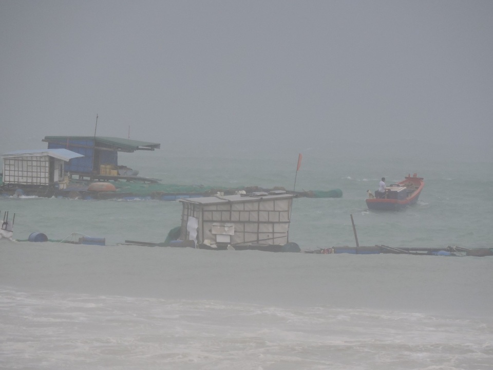 Biển động dữ dội nhấn chìm 23 bè cá của người dân Lý Sơn - 2 Bè cá của người dân đảo Lý Sơn bị sóng đánh tan hoang