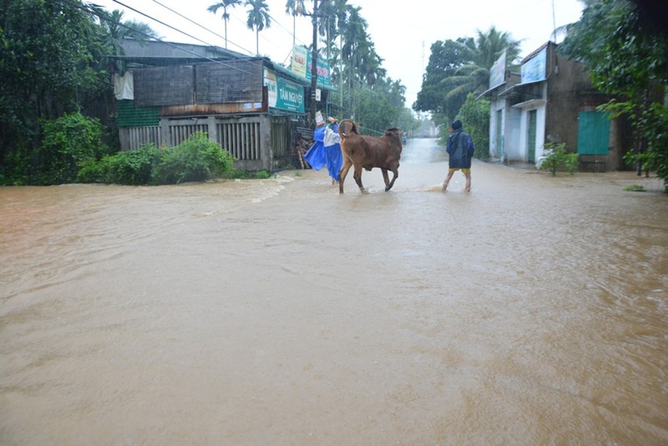 Người dân hối hả di chuyển tài sản đề phòng lũ lên cao cuốn trôi