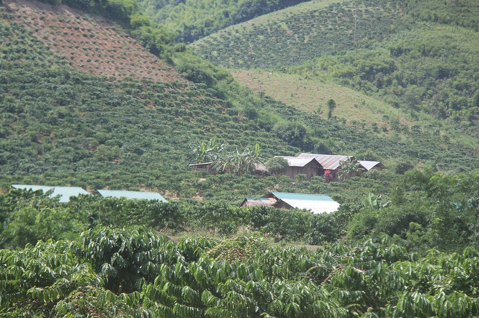 Cuộc sống bi hài của những người cả đời mơ được làm... công dân - 2 Những ngôi nhà nằm dọc theo dòng suối, tạo thành một khu dân cư