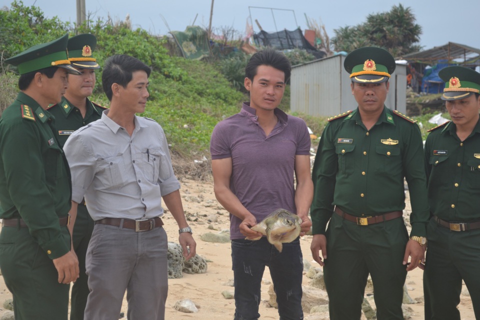 Thả rùa biển quý hiếm về với tự nhiên - 2 Ngư dân Lý Sơn thả cá thể rùa quý về với tự nhiên