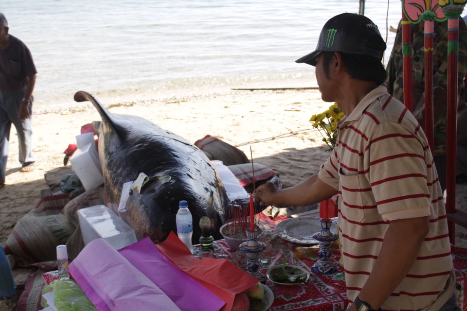 Ngư dân an táng cá Ông nặng 600 kg - 4 Nhiều ngư dân đến viếng cá Ông cầu mong cho những chuyến biển bình an
