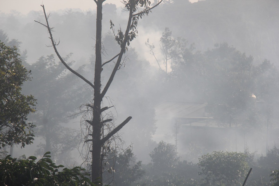 
Những lò sấy đặt san sát, khi hoạt động đã tạo ra một màn “sương khói” dày đặc từ rẫy đến đường
