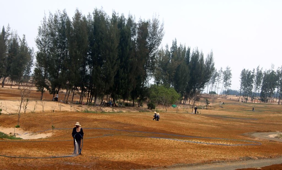 Vụ phá rừng làm sân golf: Doanh nghiệp xin triển khai tiếp một số hạng mục - 1
Doanh nghiệp New City xin lãnh đạo UBND tỉnh Phú Yên cho phép tiếp tục thực hiện một số hạng mục như trồng cỏ, trồng cây… mà trước đây công ty đang làm.