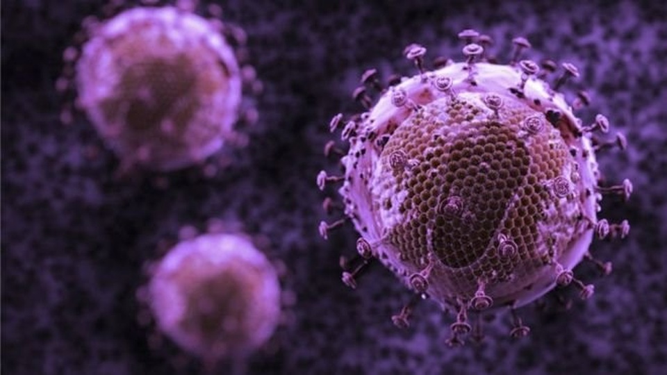 Đột phá lớn trong điều trị và phòng ngừa HIV - 1 Đột phá lớn trong điều trị và phòng ngừa HIV - 1