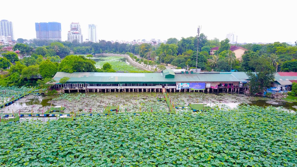Hình ảnh những biệt thự, nhà vườn ở khu vực Đầm Trị Hồ Tây - 8 Khu vực hồ Đầm Trị có diện tích khoảng 11.500 m2, còn ao Đầm Trị có diện tích 67.000 m2. Tuy nhiên, theo ông Hồi, khu vực hồ Đầm Trị không chỉ có đất nông nghiệp mà có cả đất ở xem kẽ. Do vậy, phường này đang làm việc với Thanh tra Sở Tài nguyên và Môi trường làm rõ những vấn đề liên quan.