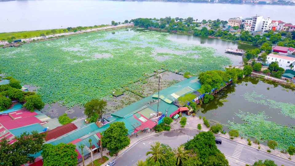 Hình ảnh những biệt thự, nhà vườn ở khu vực Đầm Trị Hồ Tây - 7 Ông Đặng Văn Hồi cho biết, chính quyền phường cũng đang yêu cầu xử lý nghiêm những công trình vi phạm được xây dựng ở khu vực hồ Đầm Trị