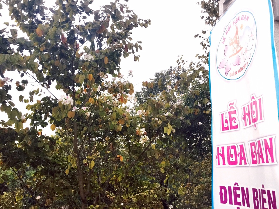 Lễ hội Hoa Ban đã trở thành lễ hội thường niên của tỉnh Điện Biên.