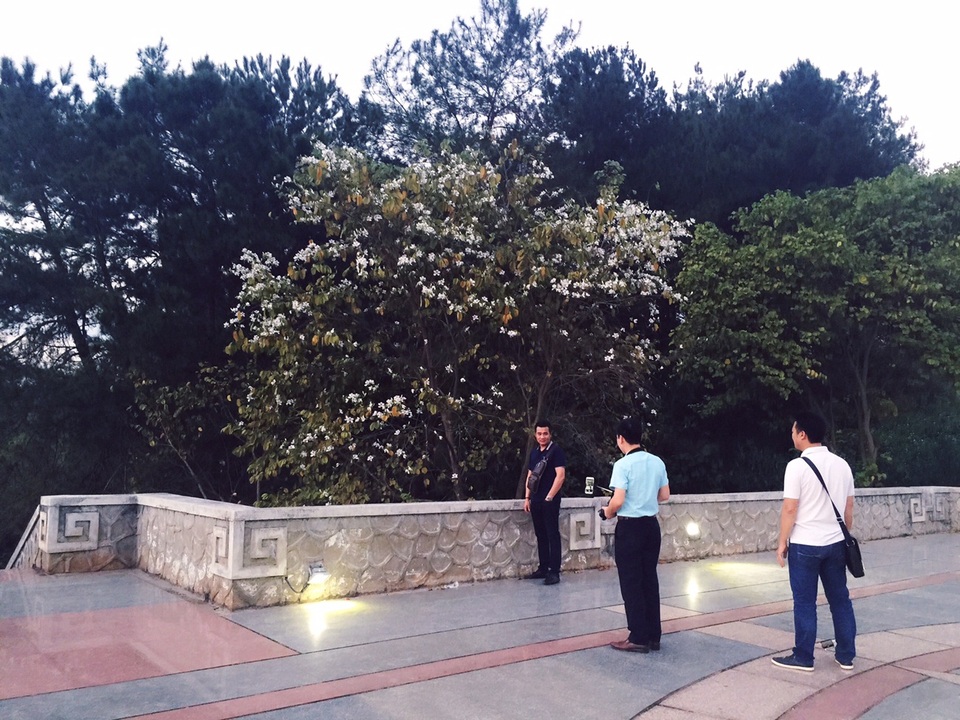 Khách du lịch chụp hình kỉ niệm bên hoa ban.