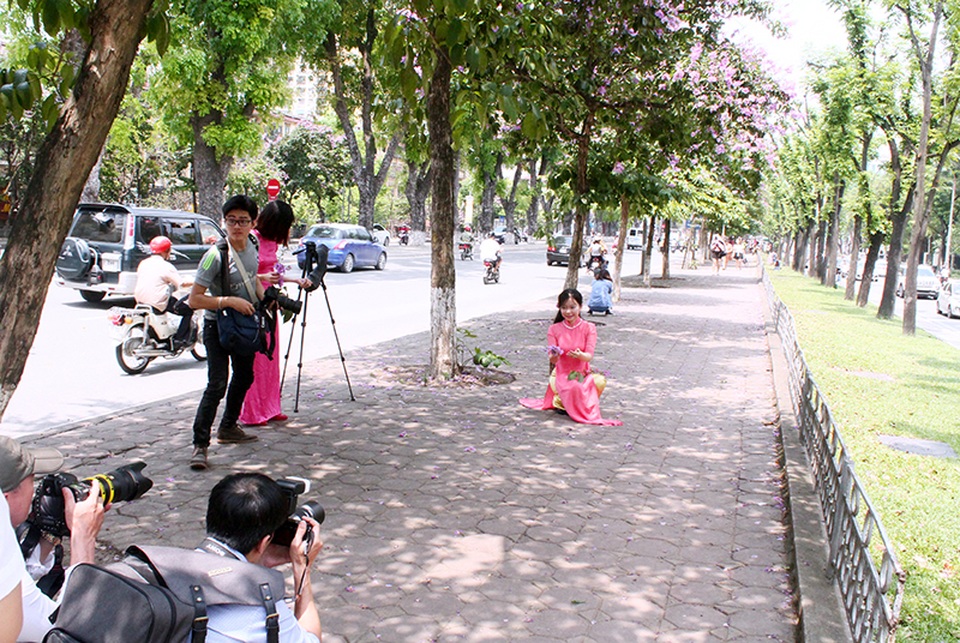 Hoa bằng lăng nở đẹp tạo cảm hứng cho các nhiếp ảnh gia