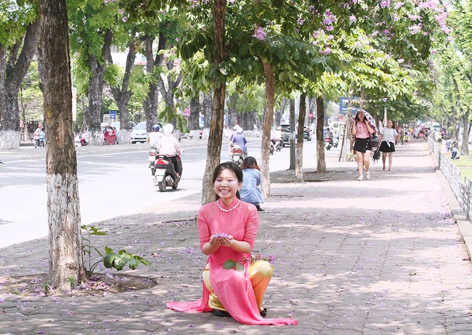 Nụ cười tươi tắn của thiếu nữ khi nhặt những cánh hoa màu tím rơi trên thềm phố