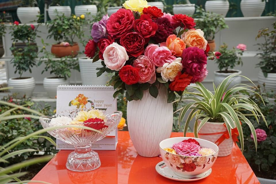 Bí quyết để có một bình hoa bền, đẹp trưng Tết - 2