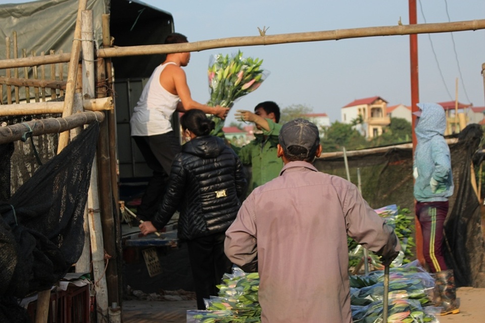 Tuy nhiên, vì kho lạnh không để được nhiều hoa nên lái buôn cũng chỉ mua với số lượng vừa phải.