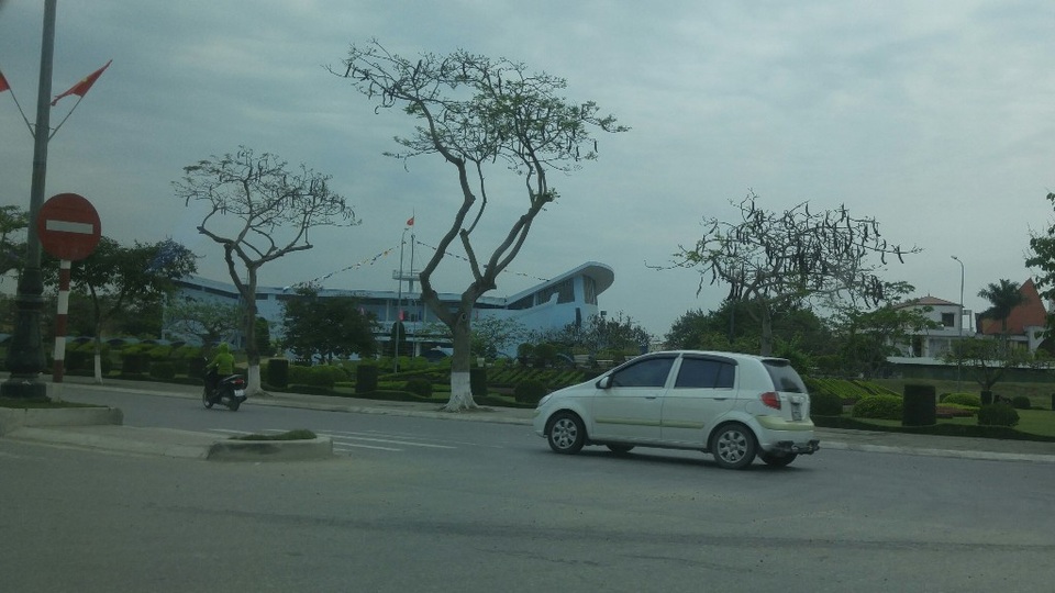 Hàng nghìn cây phượng "xơ xác" ngay trước Lễ hội Hoa phượng đỏ - 7
Người dân Hải Phòng cho rằng hàng cây đã bị chặt tỉa quá đà.