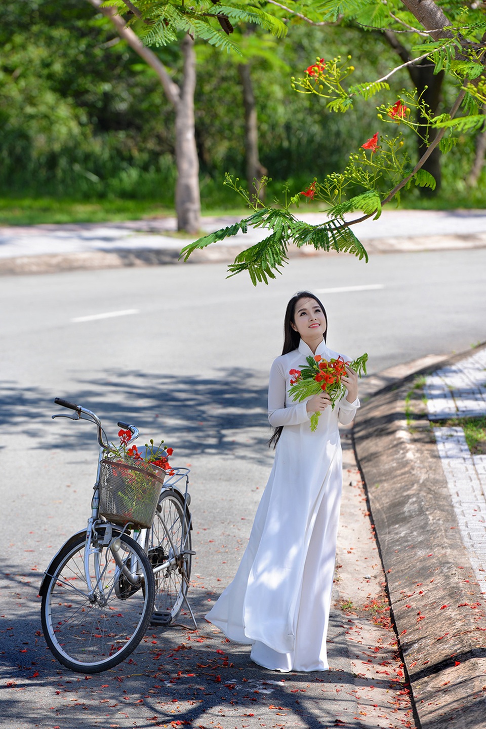 Mùa hoa phượng vĩ ở thành phố mang tên Bác - 7 Mùa hoa phượng vĩ ở thành phố mang tên Bác - 7