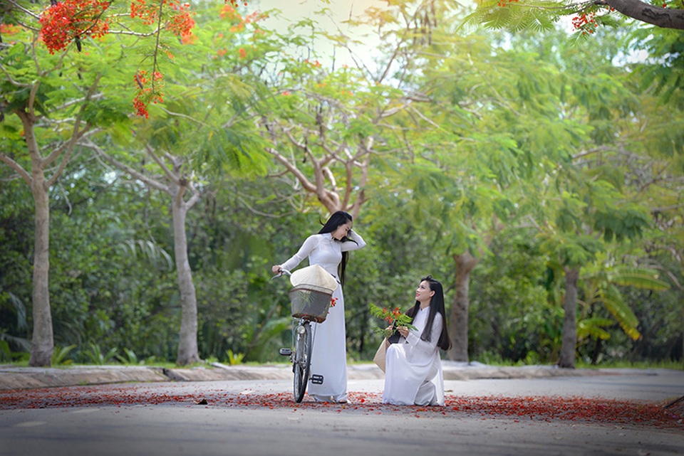 Mùa hoa phượng vĩ ở thành phố mang tên Bác - 9 Mùa hoa phượng vĩ ở thành phố mang tên Bác - 9