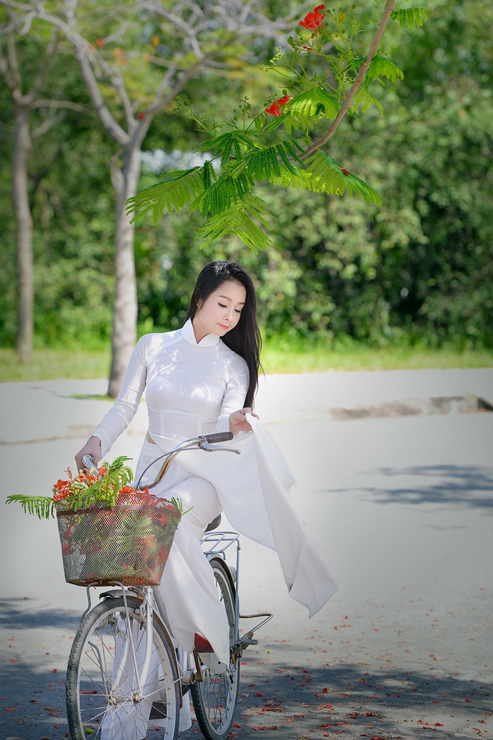 Mùa hoa phượng vĩ ở thành phố mang tên Bác - 11 Mùa hoa phượng vĩ ở thành phố mang tên Bác - 11