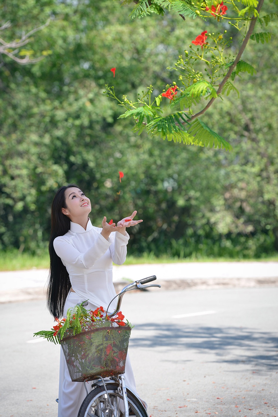 Mùa hoa phượng vĩ ở thành phố mang tên Bác - 13 Mùa hoa phượng vĩ ở thành phố mang tên Bác - 13