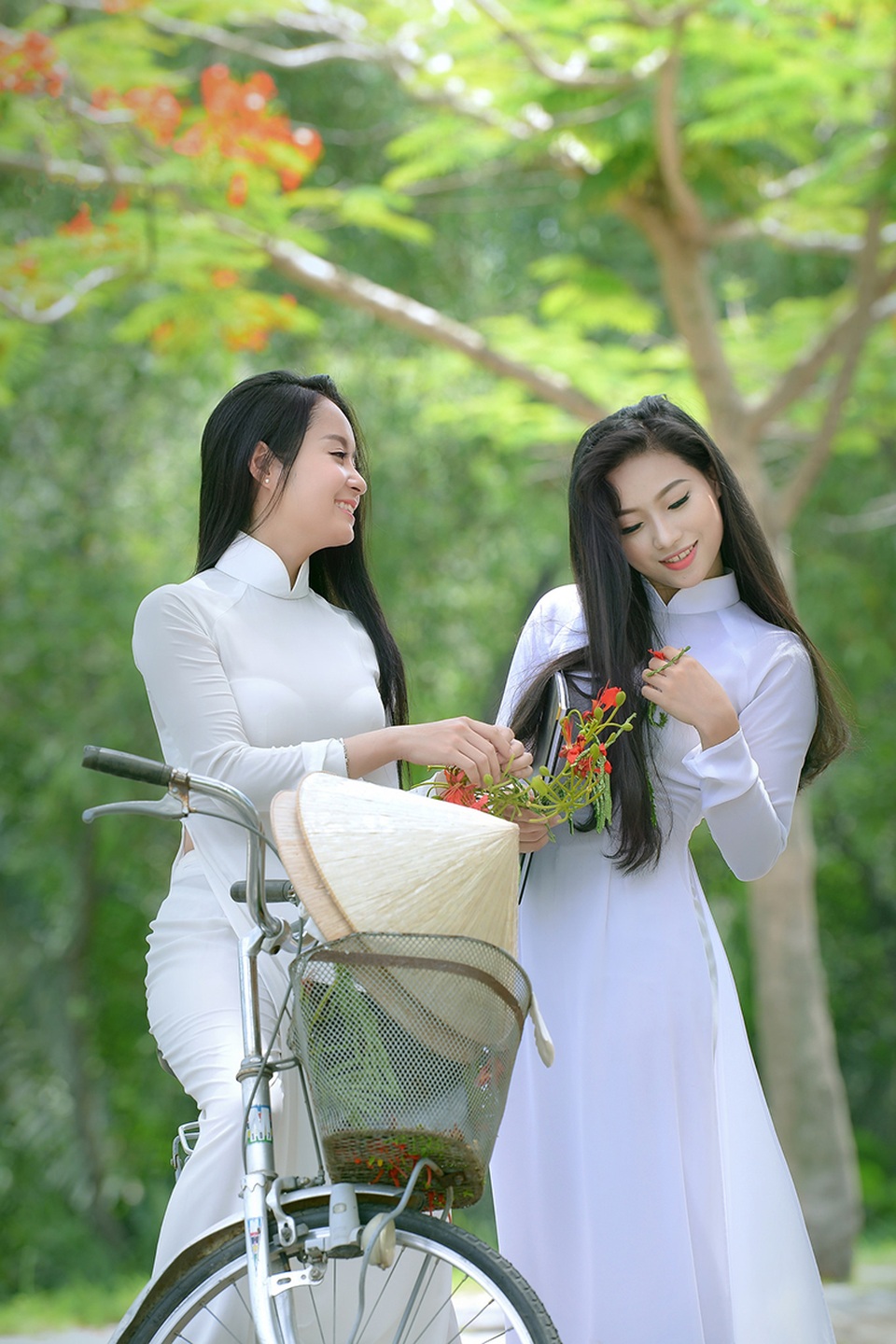 Mùa hoa phượng vĩ ở thành phố mang tên Bác - 19 Mùa hoa phượng vĩ ở thành phố mang tên Bác - 19