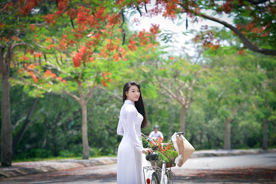 Mùa hoa phượng vĩ ở thành phố mang tên Bác - 22 Mùa hoa phượng vĩ ở thành phố mang tên Bác - 22