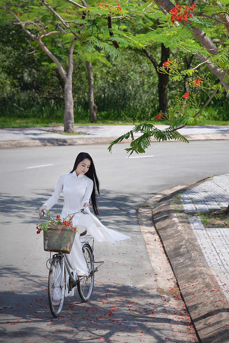 Mùa hoa phượng vĩ ở thành phố mang tên Bác - 23 Mùa hoa phượng vĩ ở thành phố mang tên Bác - 23