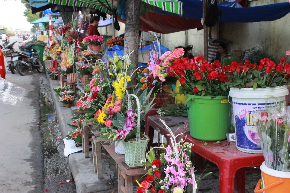 Hoa tươi tràn ngập trên các con đường của thành phố Đà Nẵng