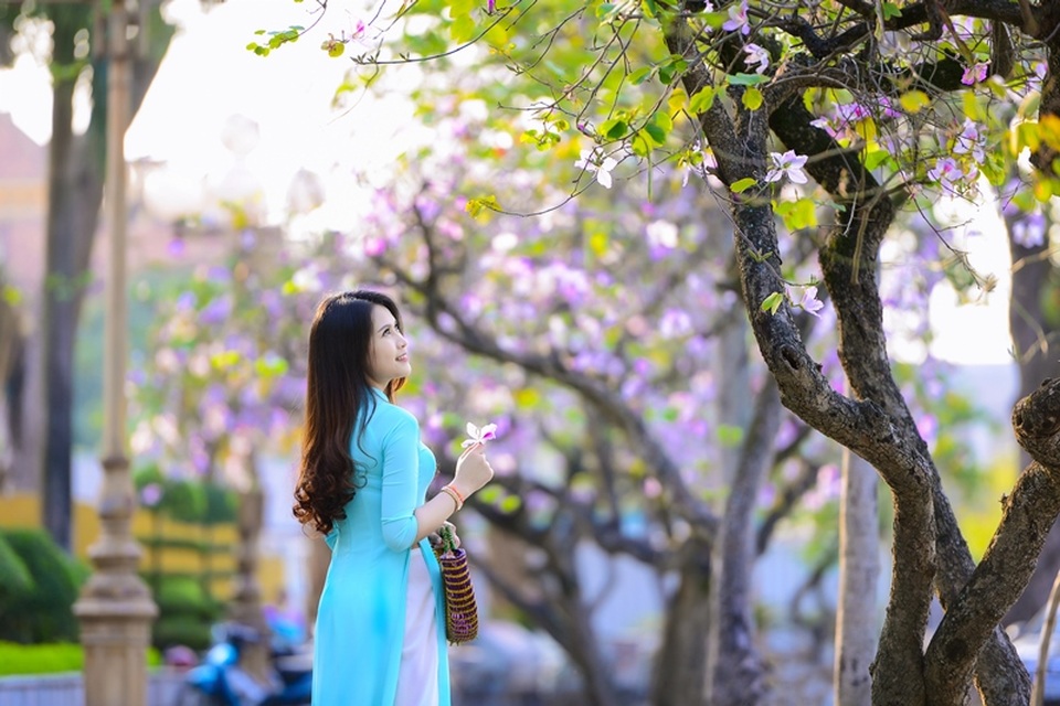 Thiếu nữ Lào khoe sắc trên con đường tím màu hoa ban Hà Nội - 17 Thiếu nữ Lào khoe sắc trên con đường tím màu hoa ban Hà Nội - 17