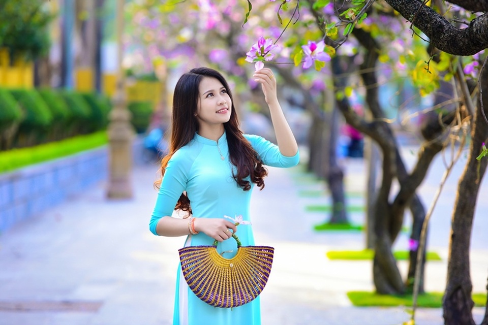 Thiếu nữ Lào khoe sắc trên con đường tím màu hoa ban Hà Nội - 1 Thiếu nữ Lào khoe sắc trên con đường tím màu hoa ban Hà Nội - 1