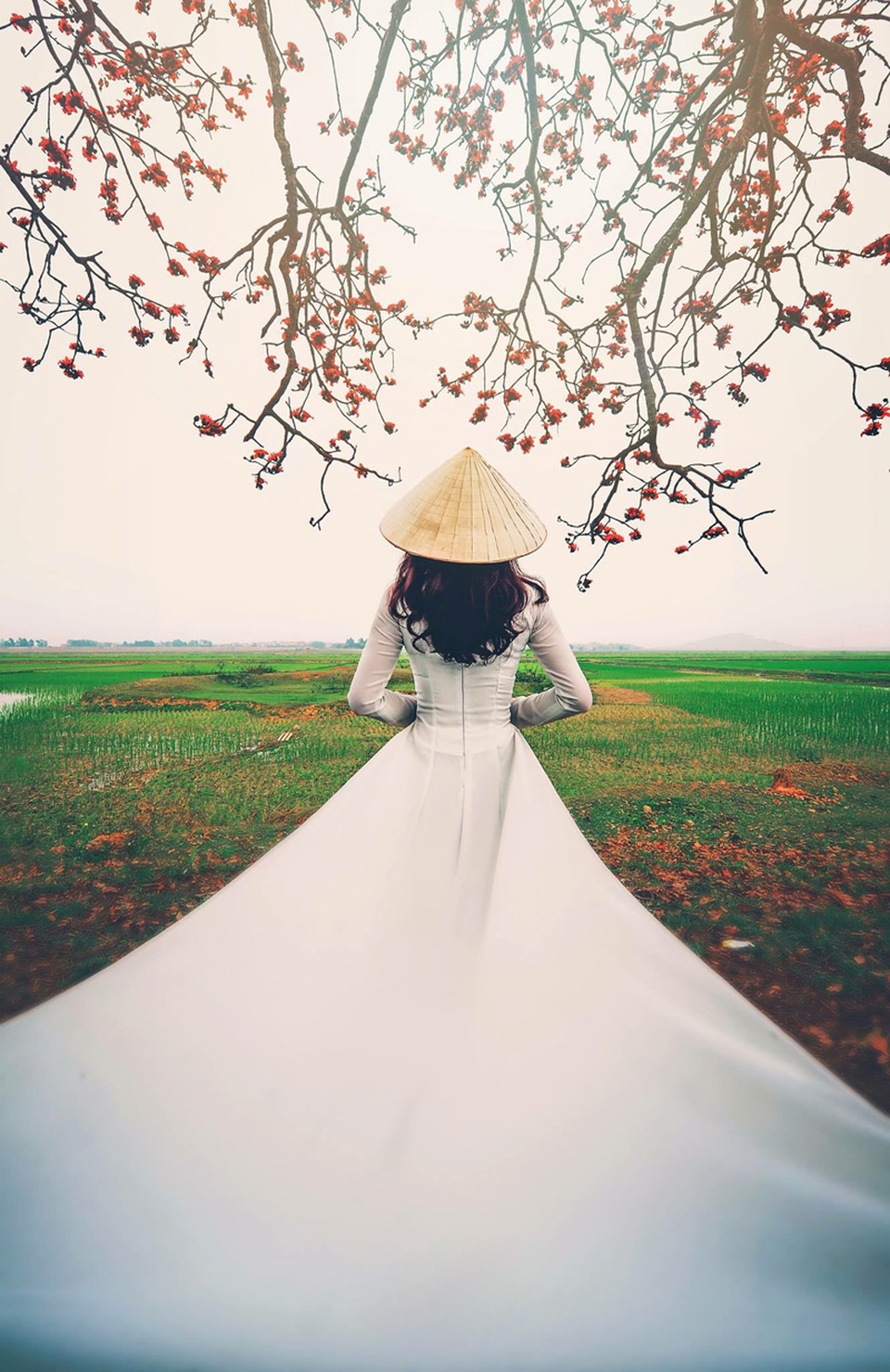 Á khôi ĐH Nội vụ đẹp như nàng thơ trong ánh nắng chiều - 2