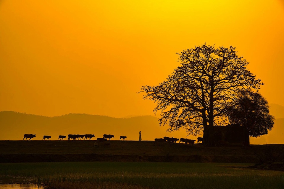 Á khôi ĐH Nội vụ đẹp như nàng thơ trong ánh nắng chiều - 8