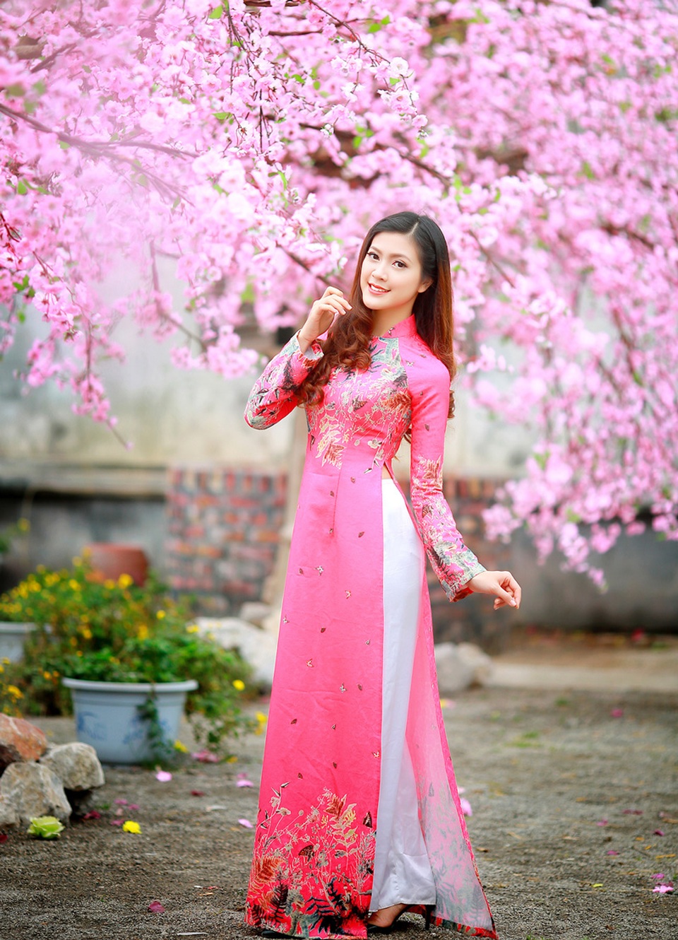 Dàn hoa khôi lộng lẫy trong trang phục áo dài đón Xuân - 2
Khuôn mặt xinh với vóc dáng lý tưởng giúp Hoa khôi SV Hà Nội 2015 Thu Hằng tự tin tạo dáng. Hiện tại Hằng đang làm MC và diễn viên chuyên nghiệp.