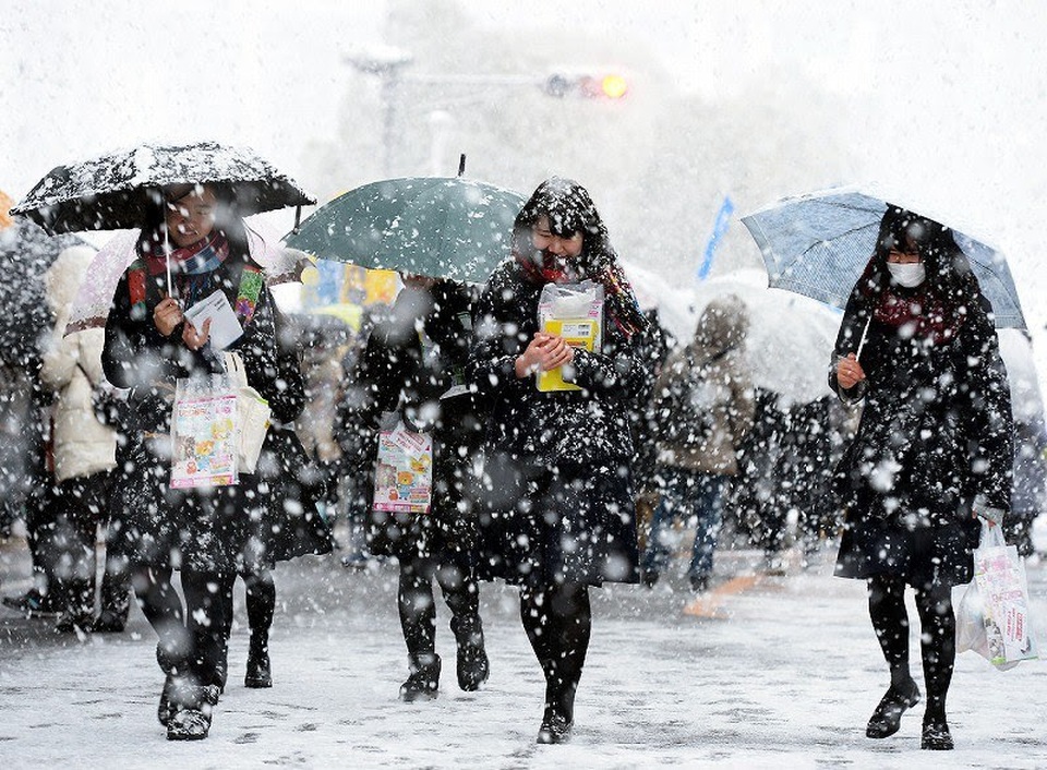 Chùm ảnh: Thí sinh Nhật Bản đội tuyết đi thi đại học - 4
Thí sinh ở Nagaoka, tỉnh Niigata, đang đi bộ qua tuyết để tới điểm thi tuyển sinh đại học sáng ngày 14/1/2016. (Ảnh: Mainichi)