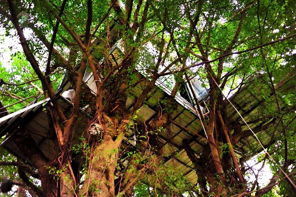 Muôn kiểu homestay độc đáo “không đụng hàng” ở Việt Nam - 1 Không gian ở đây sẽ khiến bạn như được lạc giữa một khu rừng cổ tích.