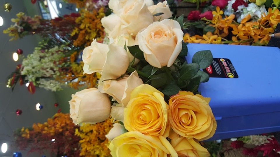 Hoa ngày Valentine: "Chết mê, chết mệt" với hồng Ecuador, Tulip Hà Lan - 5 Không chỉ Tulip, hồng Ecuador cũng được khách hàng ưa chuộng vì màu sắc và độ bền hơn hẳn hoa nội