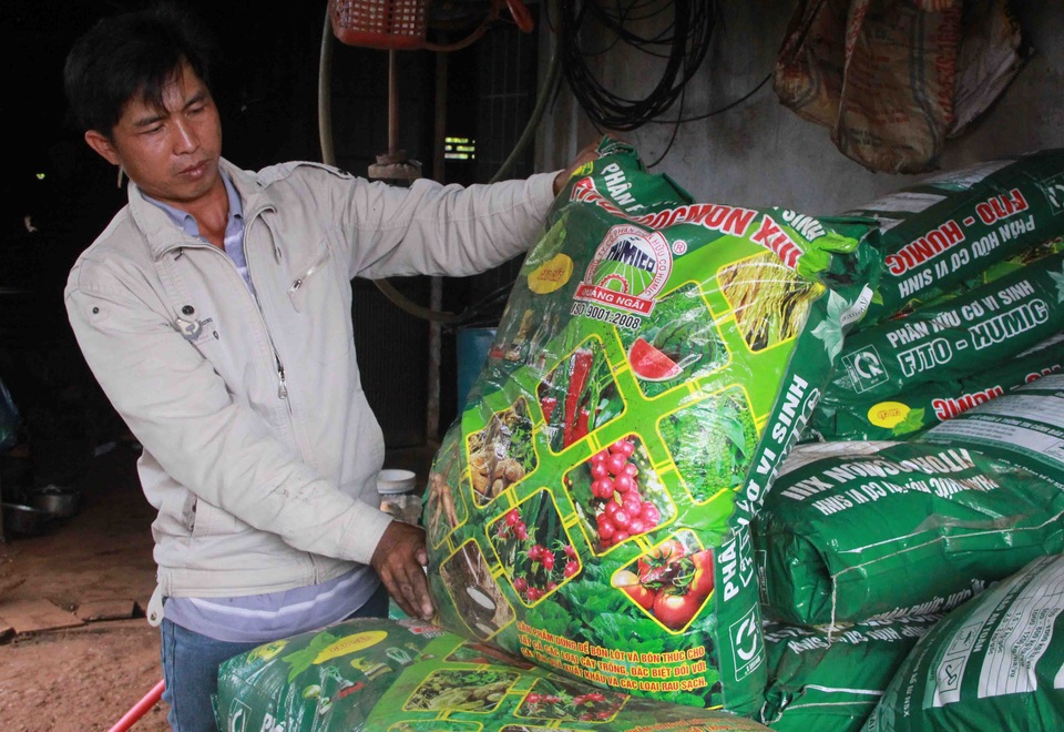 Tá hoả khi gần 1.000 trụ tiêu cháy lá, rụng quả sau khi bón phân - 2
Theo ông Phú nguyên nhân chính là do phân bón và mong muốn cơ quan chức năng làm rõ