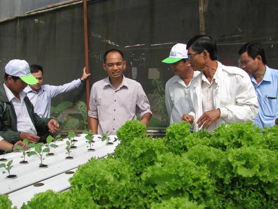 Kiếm hàng trăm triệu đồng mỗi tháng từ “công nghệ điện toán đám mây” trồng rau - 1
Nguyễn Đức Huy (thứ 3, từ trái sang) chia sẻ kinh nghiệm làm vườn cho các đoàn khách tham quan.