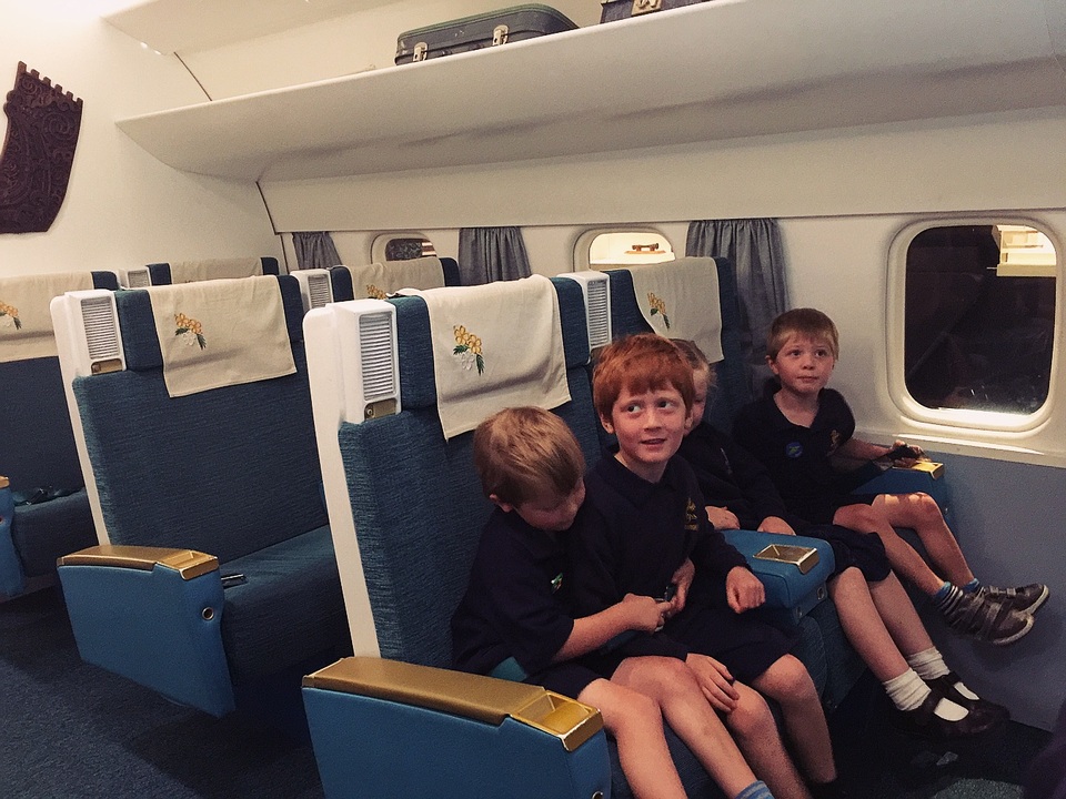 
Các em nhỏ cũng được thày cô giáo đưa tới đây trong các buổi học ngoại khóa và tất cả đều tỏ ra háo hức và thích thú với buổi học
