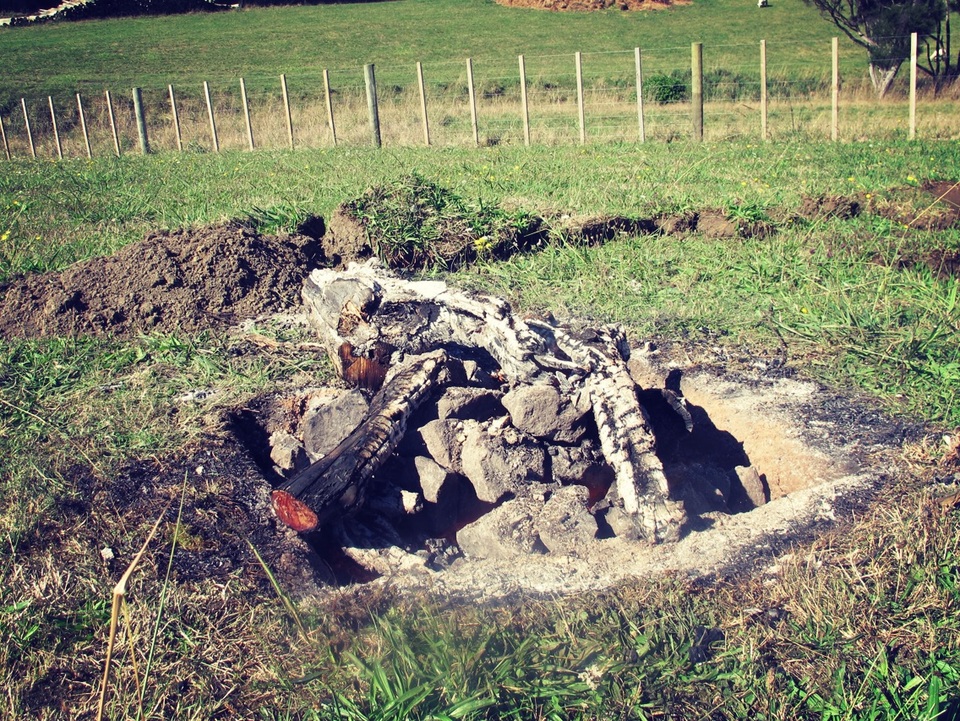 
Nếu đã tới New Zeland, bạn đừng bỏ qua cơ hội thưởng thức những món Hangi, một phương pháp chế biến món ăn truyền thống của người Maori. Phương pháp nấu nướng đặc biệt này được người Maori sử dụng đã từ nghìn năm trước. Họ đào những hố khá sâu dưới đất, xếp đá lên và nung nóng số đá đó bằng những thanh củi lớn
