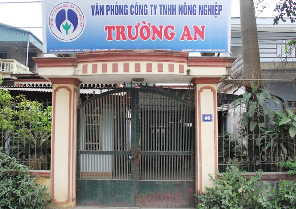 Bỏ tiền tỷ vào gừng, người trồng "ngậm cay" vì không bán được - 1 Văn phòng Cty Trường An tại thị xã Bỉm Sơn, Thanh Hóa