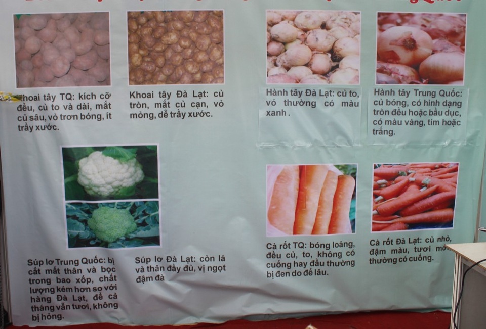 Đà Lạt nhập trên 100 tấn khoai tây Trung Quốc - 3 Một số điểm nhận diện hàng nông sản Đà Lạt và nông sản Trung Quốc
