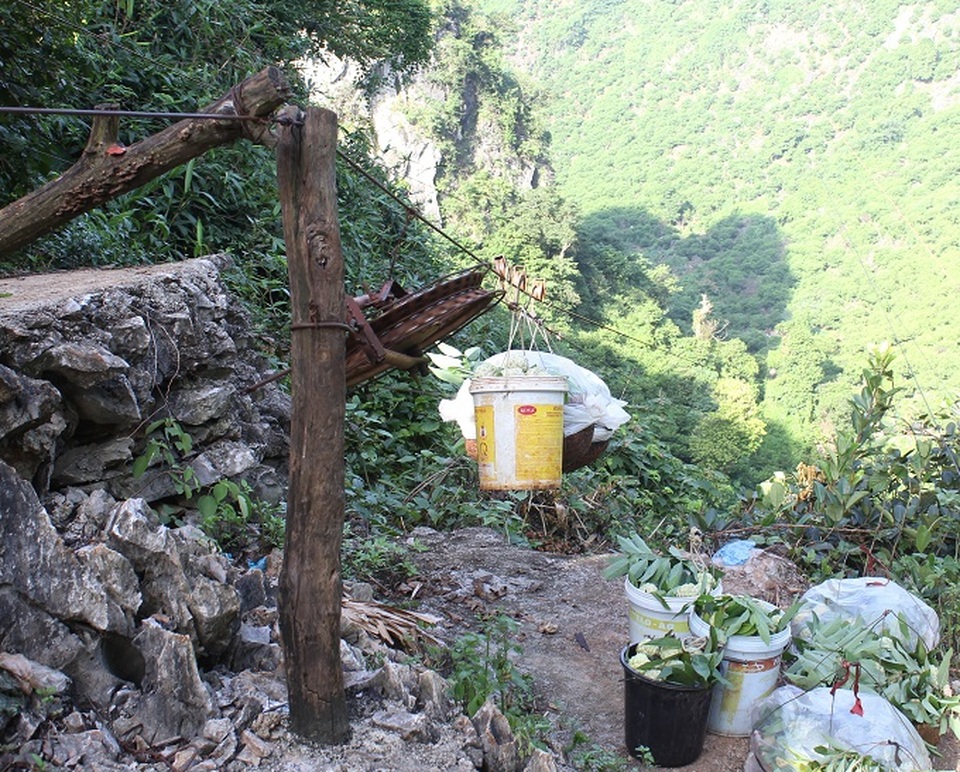 
Cũng có khi na được kéo từ khu vực thu hoạch dưới thung lũng lên vùng tập kết để từ đây di chuyển xuống chân núi.
