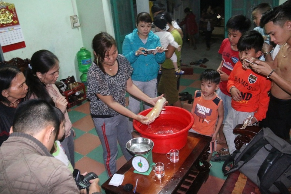Kéo nhau đi xem cá trê vàng nặng gần 2kg - 3
Rất đông người dân hiếu kỳ đến xem con cá trê lạ.