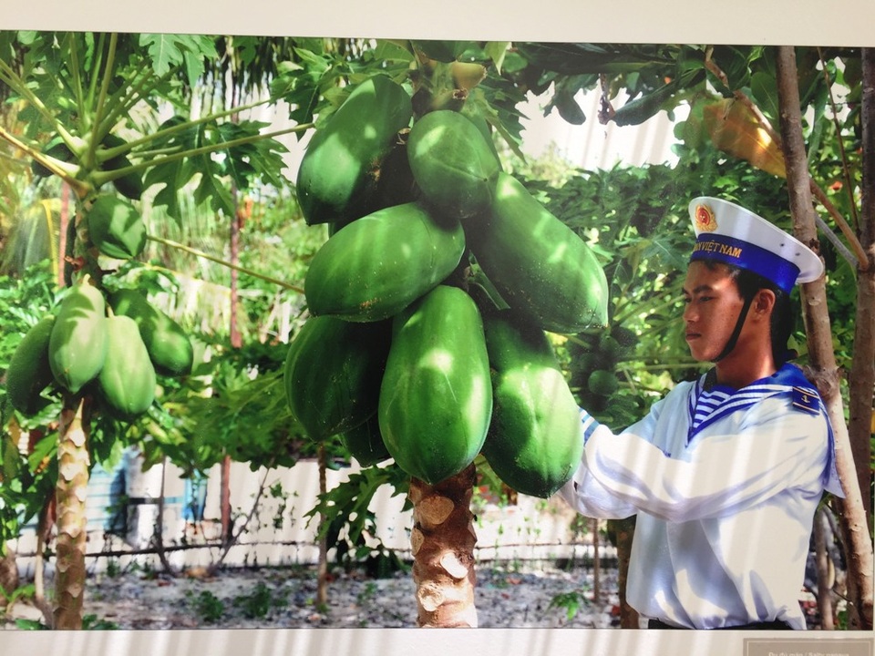 Đà Nẵng: Triển lãm ảnh “Tuổi trẻ vì biển đảo quê hương” - 4