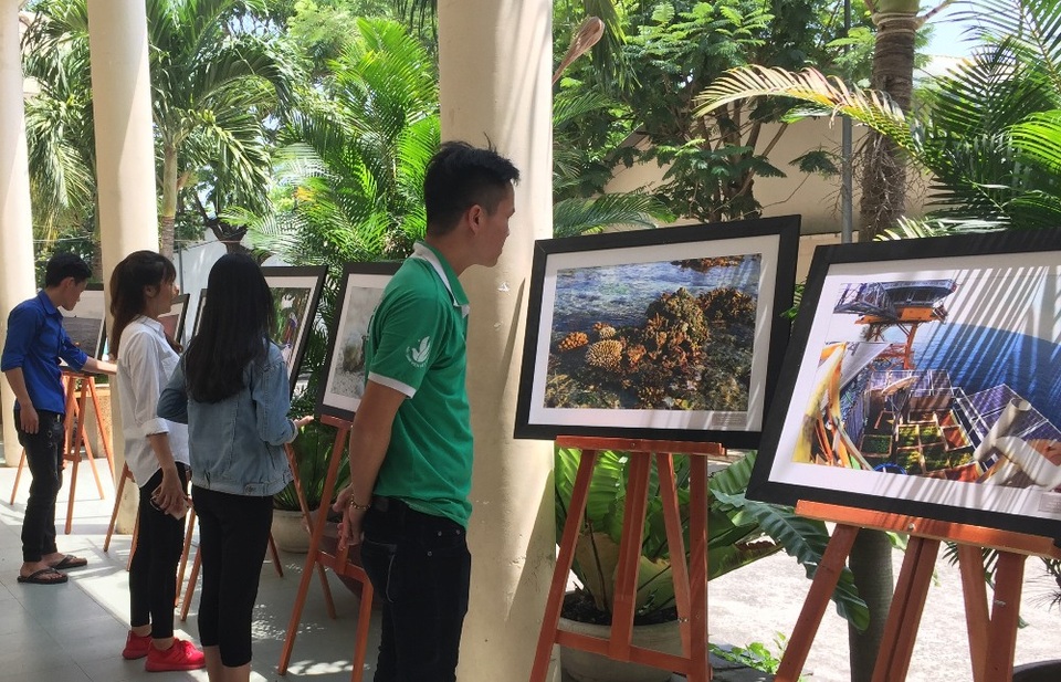 
Các tác phẩm ảnh đảo bồi đắp tình yêu và niềm tự hào của tuổi trẻ với biển, đảo quê hương.
