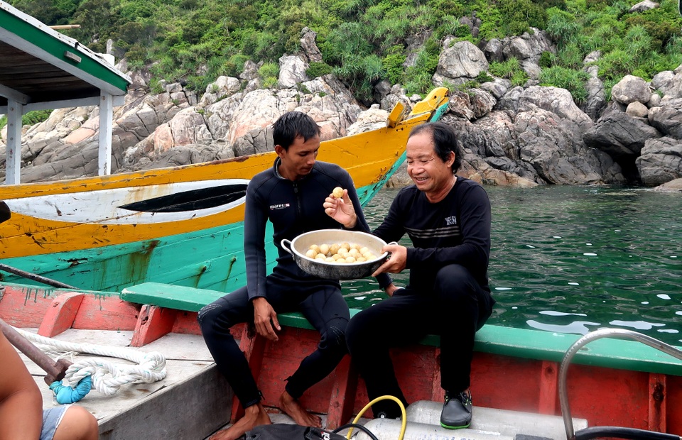 Hy hữu: Rùa đẻ trứng dưới biển Cù Lao Chàm - 1 Chuyên gia lấy trứng rùa từ dưới biển lên