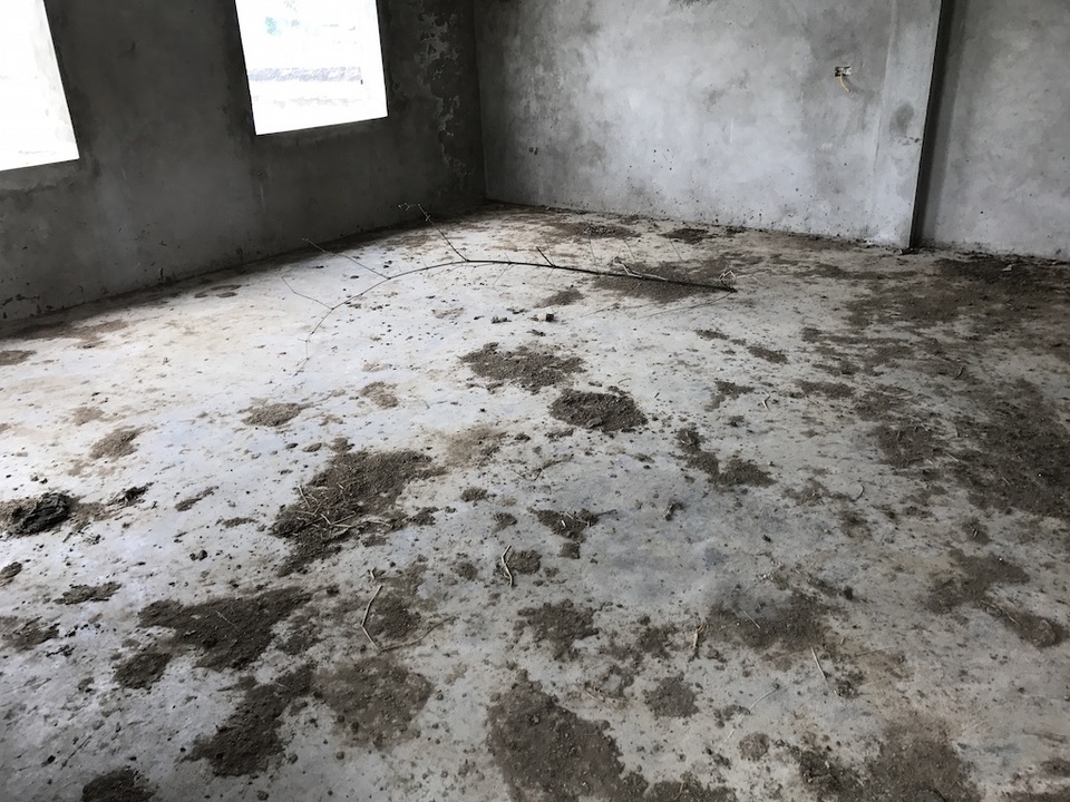 Nghệ An: Dự án nhà máy nước sạch 23 tỷ đồng đang hoang phế? - 5 Phần nền gạch trong hai căn nhà đang bị phân trâu bò bủa vây.