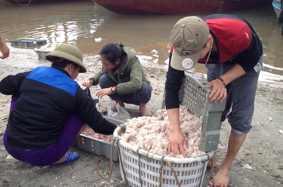 Những khay đựng ruốc chất đầy.