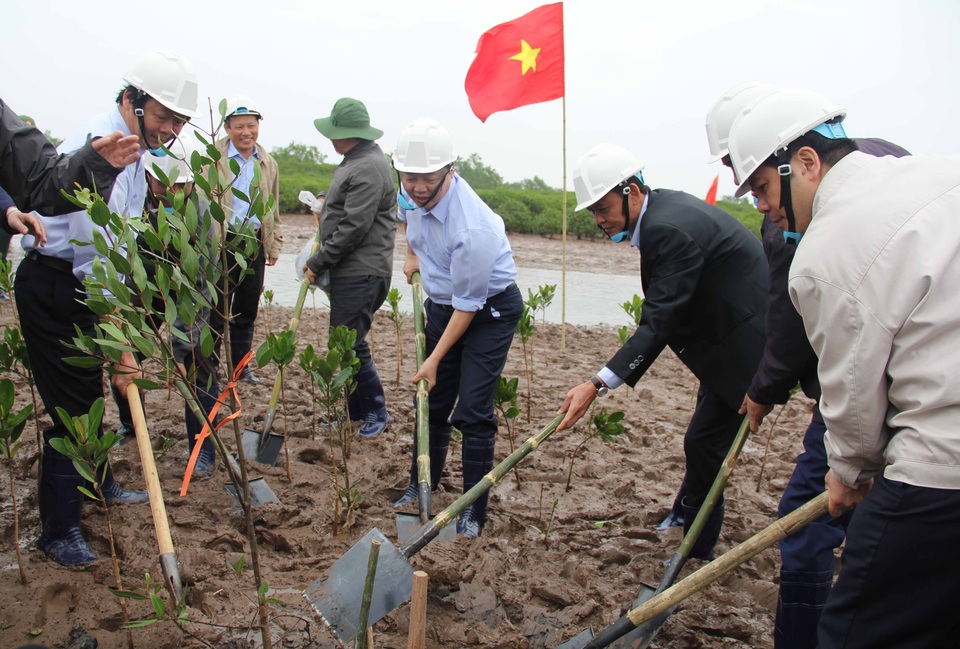 Bộ trưởng cùng người dân trồng cây ngập mặn ở Thái Bình - 2 Sau Lễ mít tinh, các đại biểu cùng các tổ chức quốc tế, lực lượng vũ trang, học sinh và người dân đã tham gia trồng cây ngặp mặn tại bãi bồi ven biển của huyện Thái Thụy, tỉnh Thái Bình.