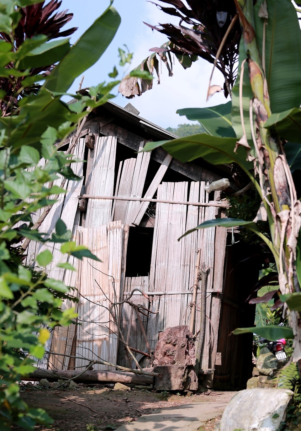 Hơn 137 triệu đồng đến với bệnh nhân Hầu A Vừa - 7 Hoàn cảnh gia đình bé Quân rất khó khăn, bé bị bệnh nhưng trước đó hoàn toàn không được đi thăm khám, chữa bệnh.